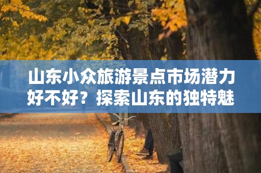 山东小众旅游景点市场潜力好不好？探索山东的独特魅力