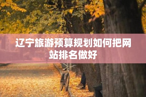 辽宁旅游预算规划如何把网站排名做好