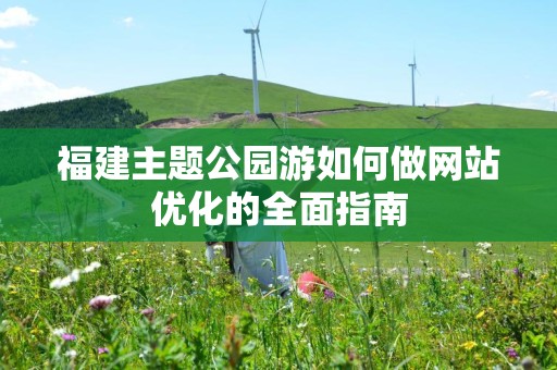 福建主题公园游如何做网站优化的全面指南